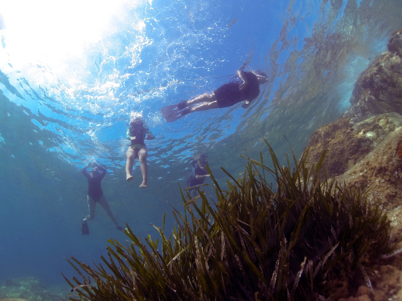 Àrea verda marina al litoral calongí. (Foto: Boris Weitzmann).