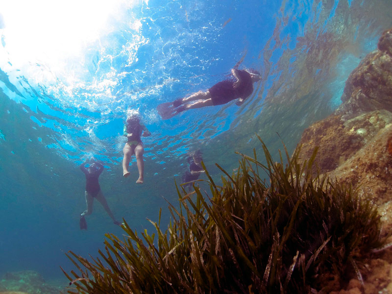 Àrea verda marina al litoral calongí. (Foto: Boris Weitzmann).