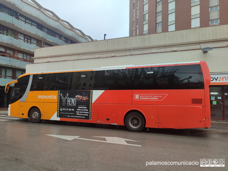 Un autobus fent serveis mínims, aquest matí a Palamós.