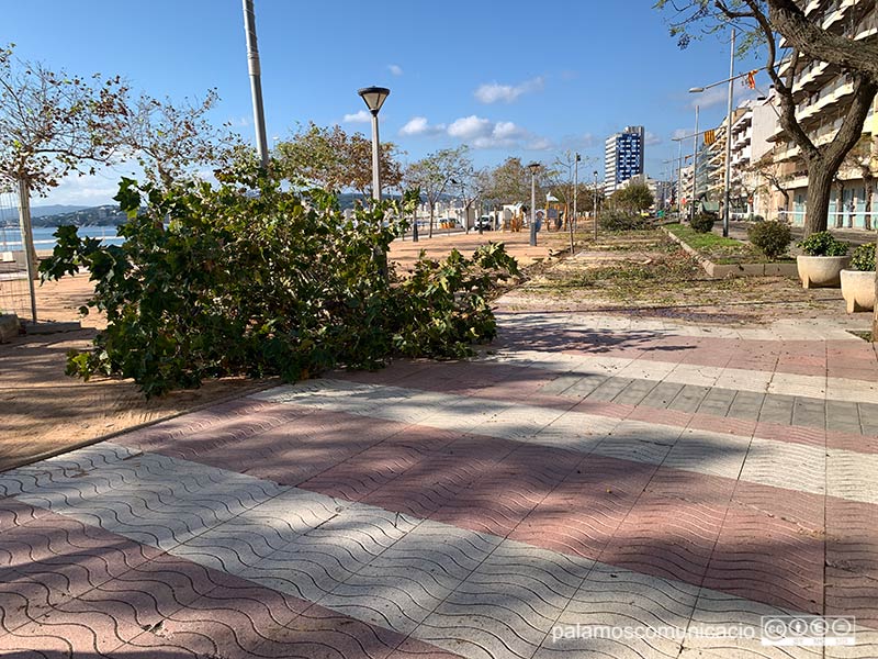 El passeig del Mar de Palamós, aquest migdia.