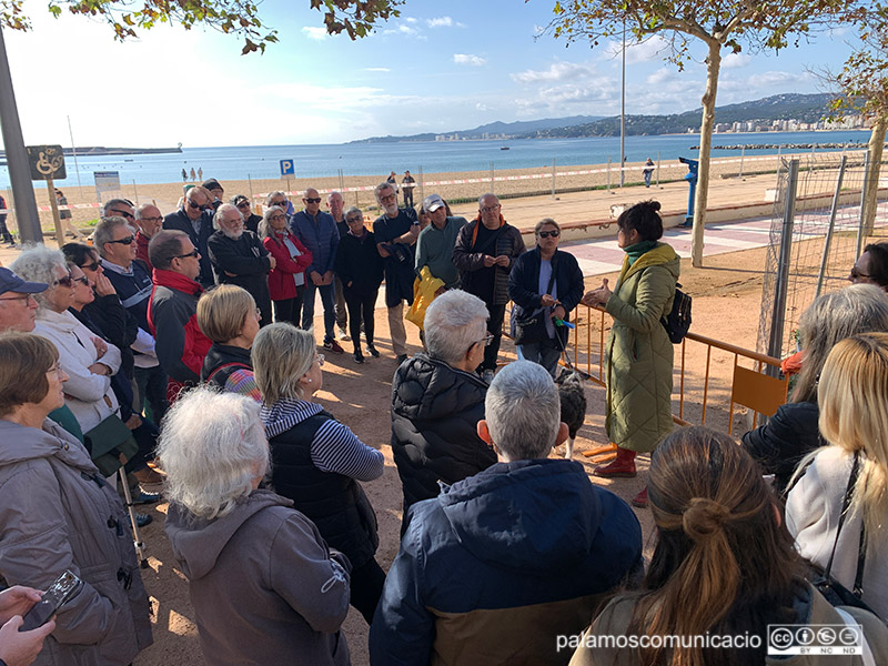 Una cincuantena de persones han protestat avui per la tala d'arbres al passeig del Mar.