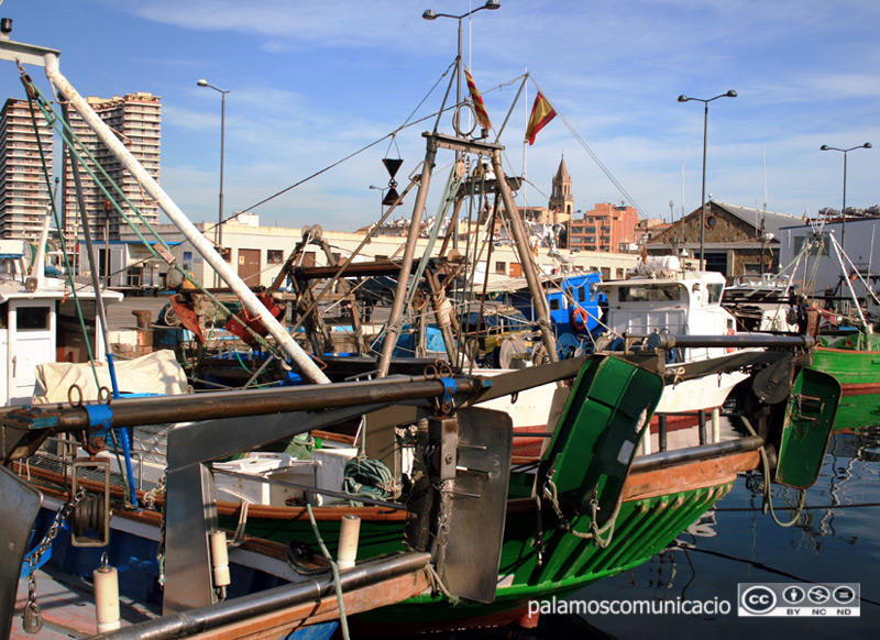 Barques de pesca amarrades al port de Palamós, en una imatge d'arxiu.