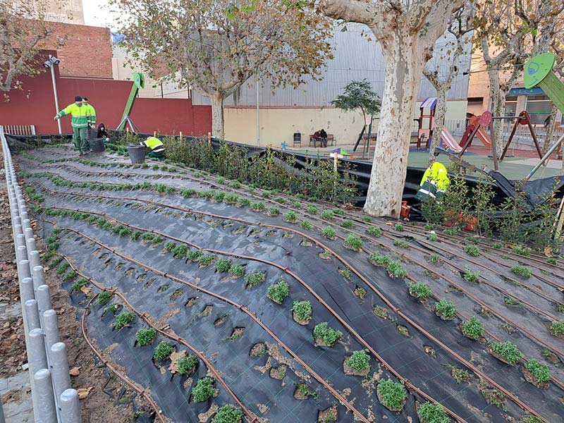 Operaris de la Brigada Municipal fent tasques d'enjardinament a l'Arbreda. (Foto: Ajuntament de Palamós).