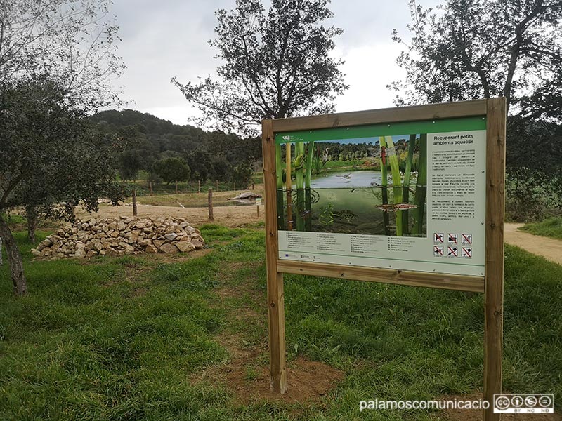 Aquesta nova bassa servirà d'hàbitat per a espècies autòctones de rèptils i amfibis.