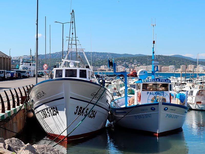 L'embarcació l''Estrella Polar', a la dreta, al costat de 'La Gacela'. (Foto: Museu de la Pesca de Palamós).