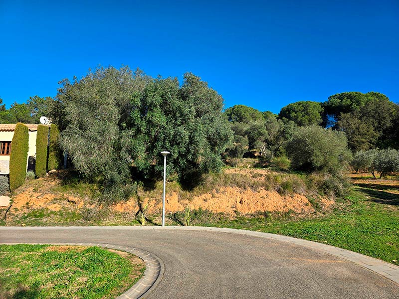 Una de les parcel·les que posa a la venda l'Ajuntament de Calonge i Sant Antoni. (Foto: Ajuntament de Calonge i Sant Antoni).
