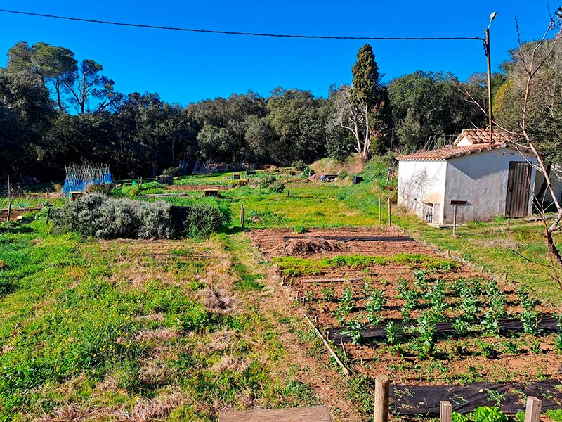 El horts de Can Pere Tià. (Foto: Ajuntament de Palamós).