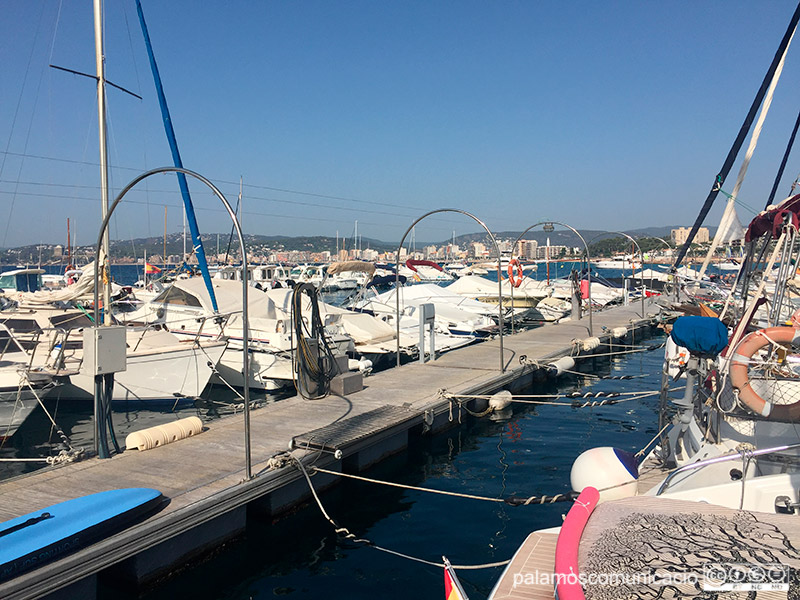Embarcacions amarrades a les passarel·les de Front al Mar.
