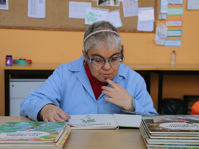 El sector fa una crida a les editorials per reclamar un augment en la publicació de llibres en Lectura Fàcil. (Foto: Dincat).