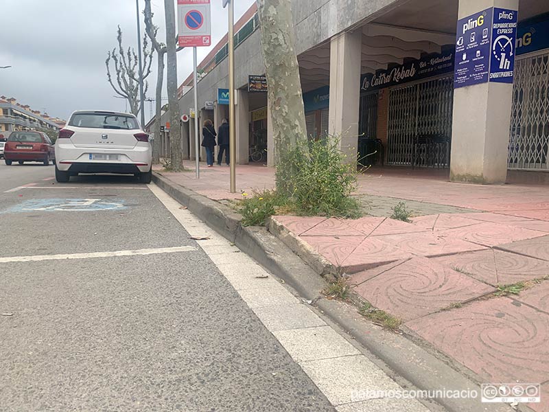 Panots de la vorera aixecats per les arrels dels arbres a l'Avinguda de Catalunya.