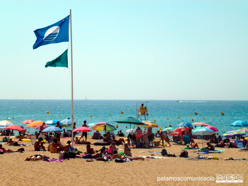 La platja de la Fosca manté la Bandera Blava un any més.