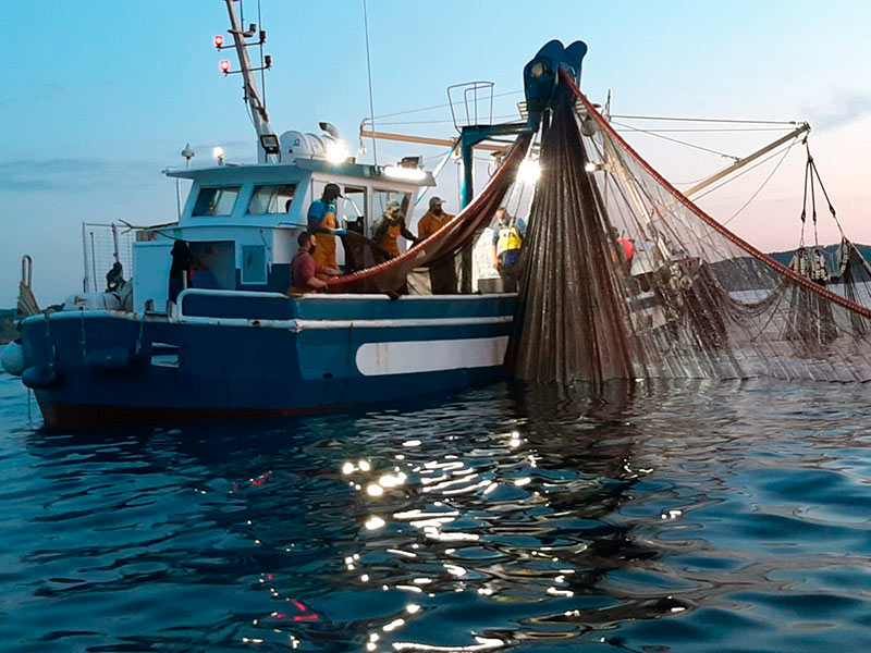 Una de les barques de pesca de Palamós. (Foto: Confraria de Pescadors de Palamós).