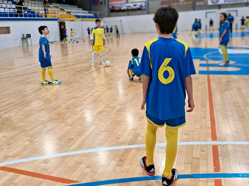 Un entrenament del Club Futbol Sala Palamós, en una imatge d'arxiu. (Foto: Club Futbol Sala Palamós).