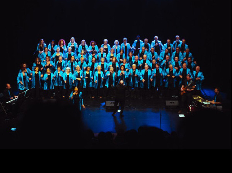 El Cor Gospel Girona durant una actuació. (Foto: lagorga.cat).