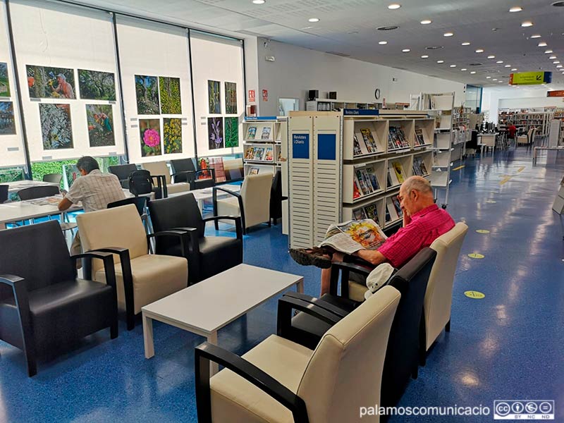 La biblioteca Lluís Barceló i Bou és un dels quatre refugis climàtics municipals.