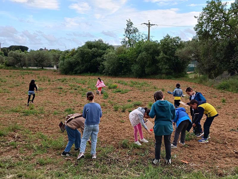 S'han fet activitats que combinen acompanyament educatiu i descoberta de l’entorn. (Foto: Ajuntament de Calonge i Sant Antoni).