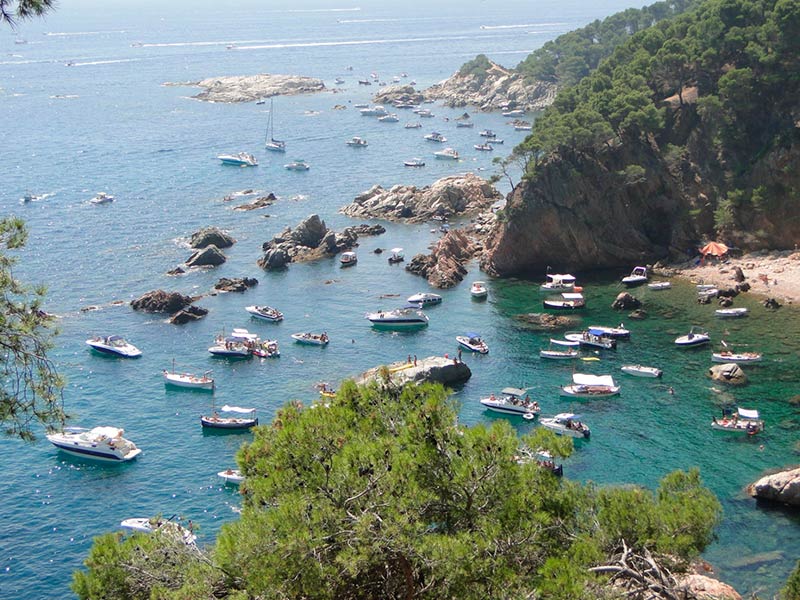 Embarcacions fondejades a pocs metres de la costa, a l'espai protegit de Castell - Cap Roig. (Foto: SOS Costa Brava).