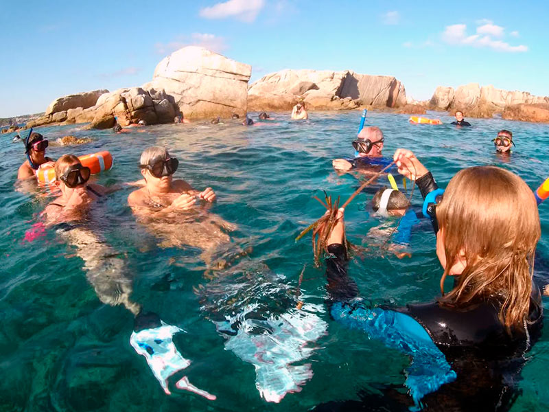 L'activitat es farà el diumenge 3 d'agost. (Foto: Amics de les Illes Formigues).
