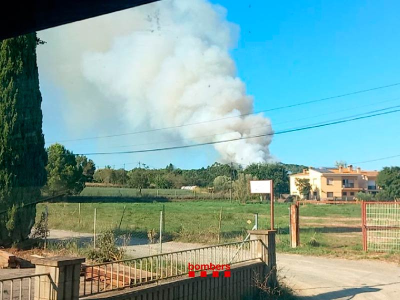 El foc s'ha donat per estabilitzat cap a 2/4 de 9 del vespre. (Foto: Bombers de la Generalitat).