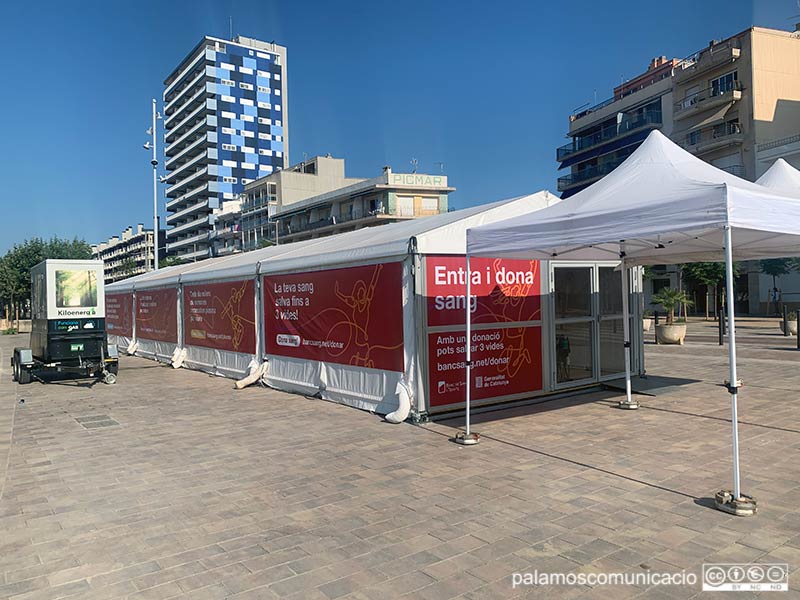 Avui hi ha la segona jornada de donació de sang al passeig del Mar de Palamós.