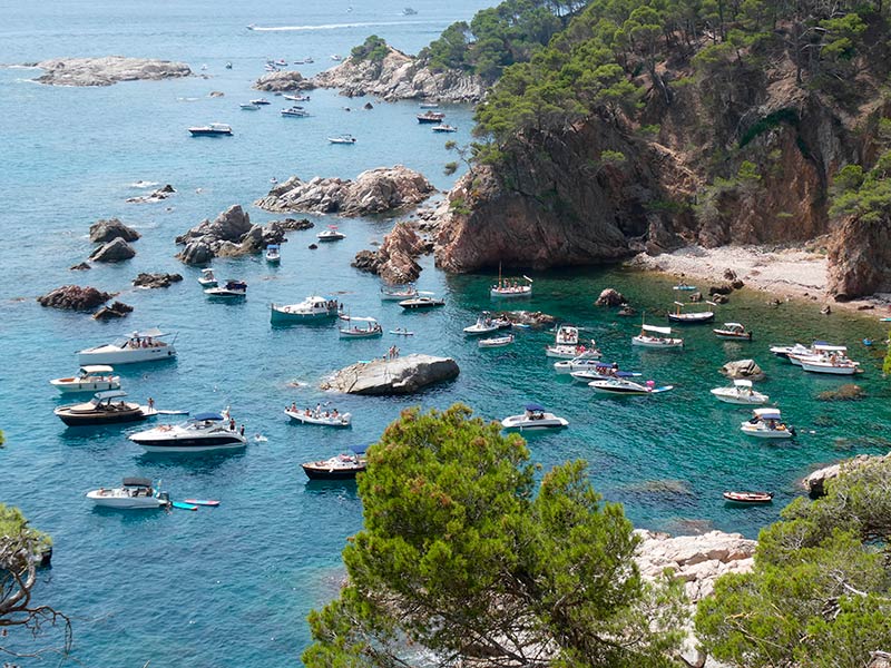 SOS Costa Brava denuncia la manca de protecció després del robatori de balises. (Foto: SOS Costa Brava).