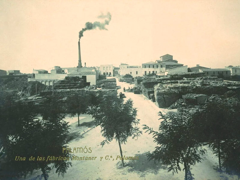 Fàbrica de Martí Montaner i Cia al Convent, situada al Pedró de Palamós. (Foto: SAMP - Fons R.Palet).
