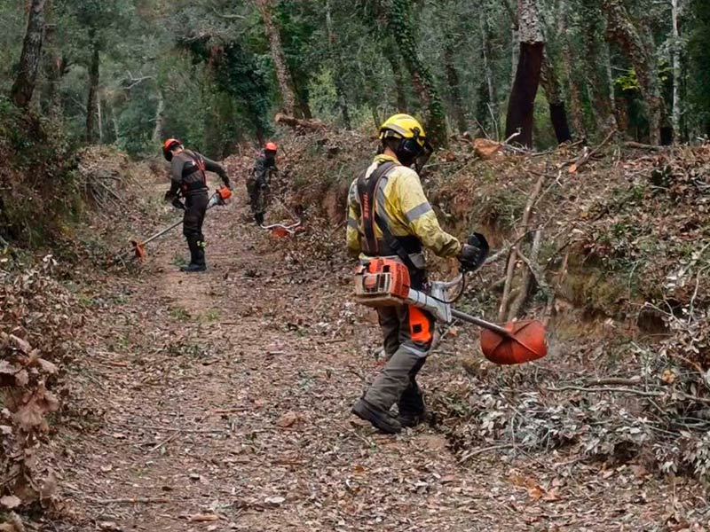 Voluntaris de l'ADF Gavarres Marítima netejant un camí forestal. (Foto: ADF Gavarres Marítima).