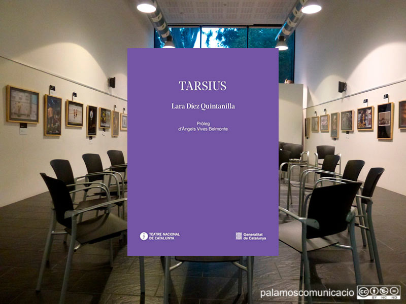 'Tarsius', de Lara Díez Quintanilla, avui a la sessió de 