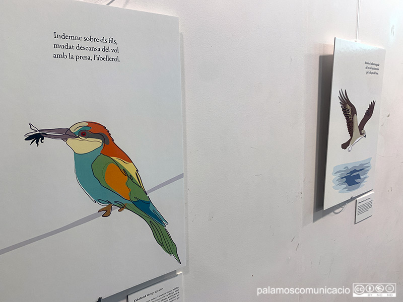 L'exposició es pot veure a la Biblioteca Lluís Barceló i Bou fins al proper 19 de gener.