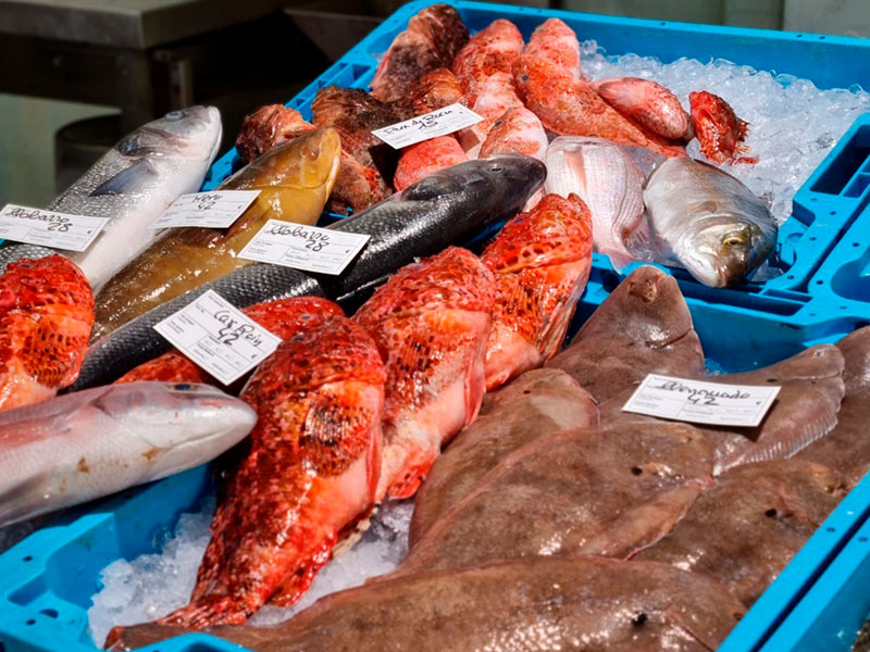 Peix fresc de Palamós. (Foto: Confraria de Pescadors de Palamós).