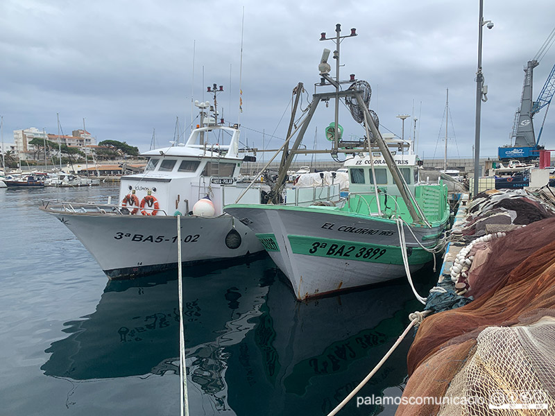 Dues de les teranyines de la Confraria de Pescadors de Palamós amarrades a port.