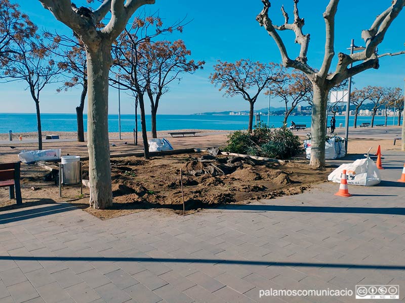 La Brigada Municipal està arranjant els parterres del passeig dle Mar, en el tram més proper a Sant Antoni.