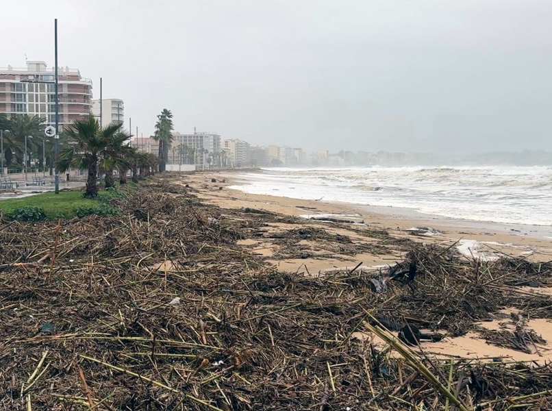 Efectes del temporal 'Harry' a la platja de Torre Valentina, el passat mes de gener. (Foto: Ajuntament de Calonge i Sant Antoni).