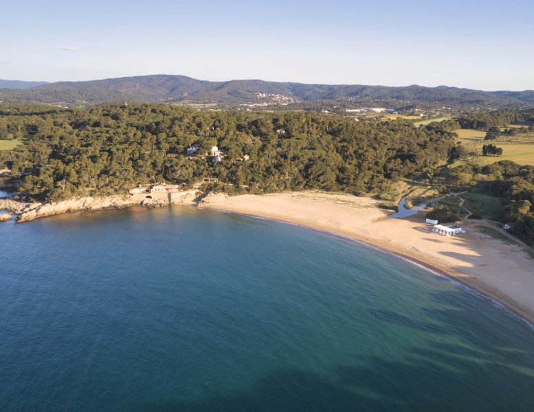 Vista aèria de la platja de Castell. (Foto: Ajuntament de Palamós).