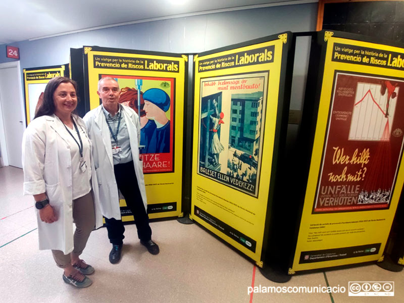 La mostra està formada per uns plafons exposats a consultes externes.