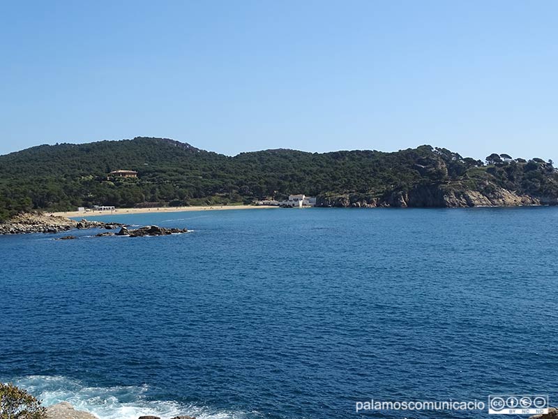 L'avaria de la depuradora compromet la qualitat de l'aigua a l'entorn de la platja de Castell.