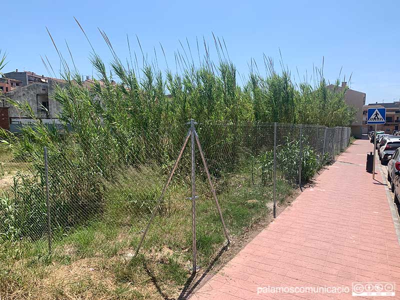 Un dels solars del carrer Núria on es faran les promocions d'habitatge social.