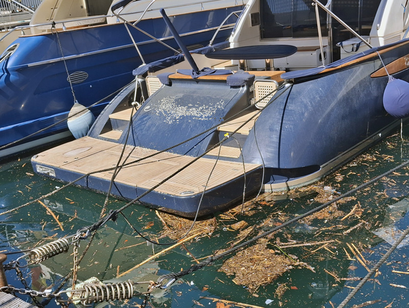 Residus acumulats a la dàrsensa del port. (Foto: Club Nàutic Costa Brava - Vela Palamós).