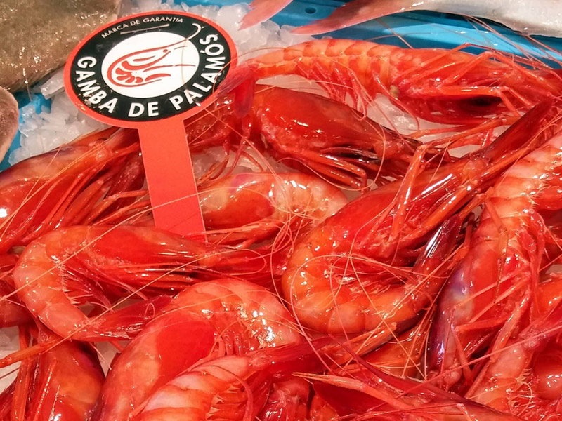 La certificació Marca de Garantia Gamba de Palamós assegura l’origen i la qualitat de la gamba. (Foto: Ajuntament de Palamós).