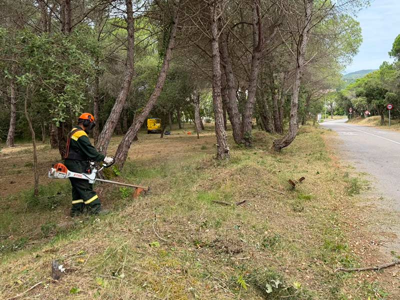 Tècnics de l'ADF Gavarres-Marítima fent feines de desbrossament a la Fosca. (Foto: Ajuntament de Palamós).