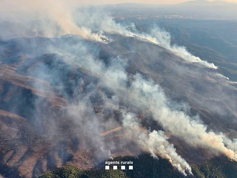 El foc ha cremat fins a les 9 del matí una superfície d'unes 2.200 hectàrees. (Foto: Agents Rurals).