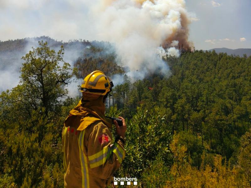 Els bombers van aconseguir estabilitzar l'incendi dissabte a la nit. (Foto: Bombers de la Generalitat).