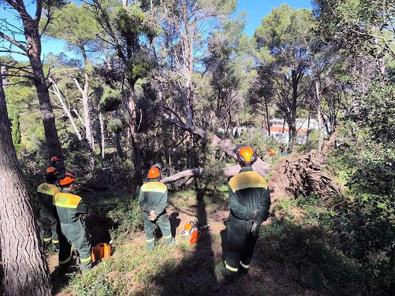 L'ADF Gavarres Marítima fent feines de neteja d'arbres caiguts després de les ventades de la primavera. (Foto: Consorci Gavarres).