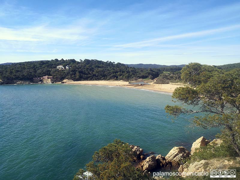 La nedada sortirà des de la platja de Castell.