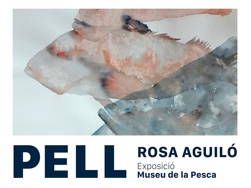 Cartell de l'exposició de Rosa Aguiló.