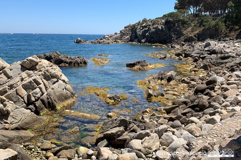 La caleta de S'Alguer Petit, a Palamós.