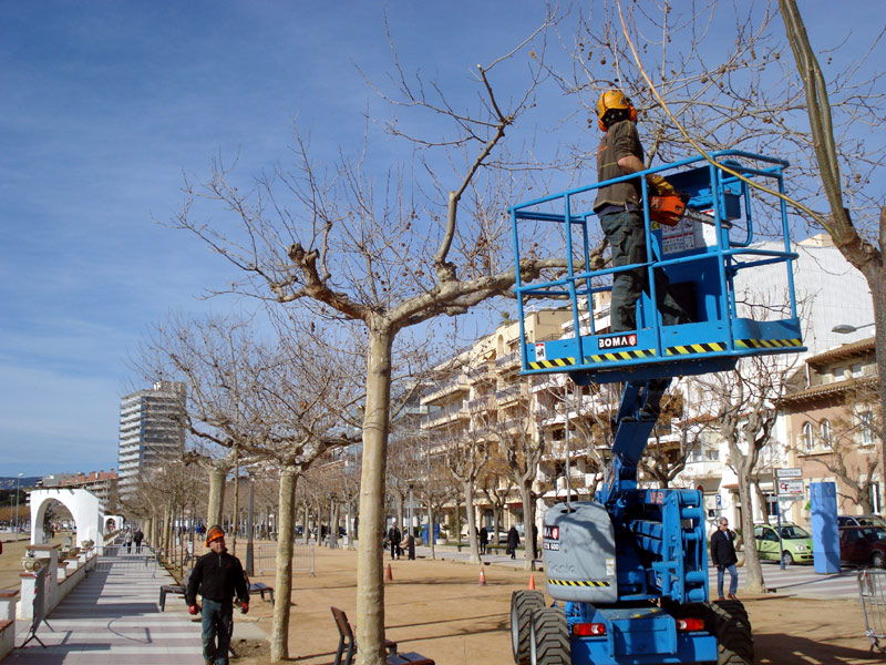 L'actuació més destacada és la del passeig del Mar. (Foto: Ajuntament de Palamós)