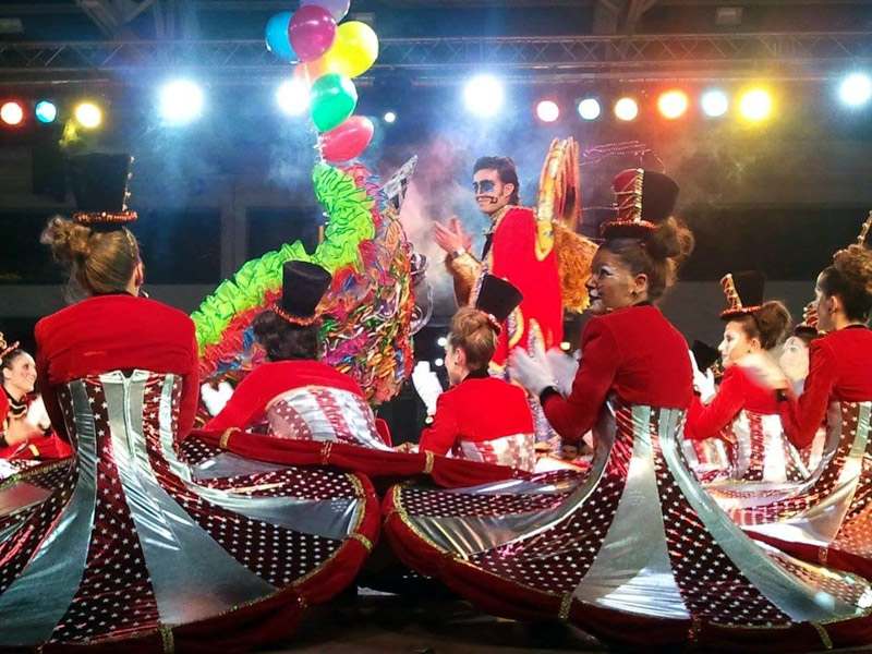 Un moment de l'espectacle que es va viure dissabte a la Nau dels 50 metres. (Foto: Ass. Carnaval de Palamós).